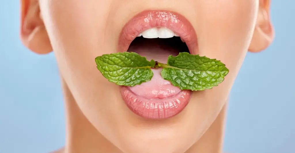 Boca con un ramo de menta dentro